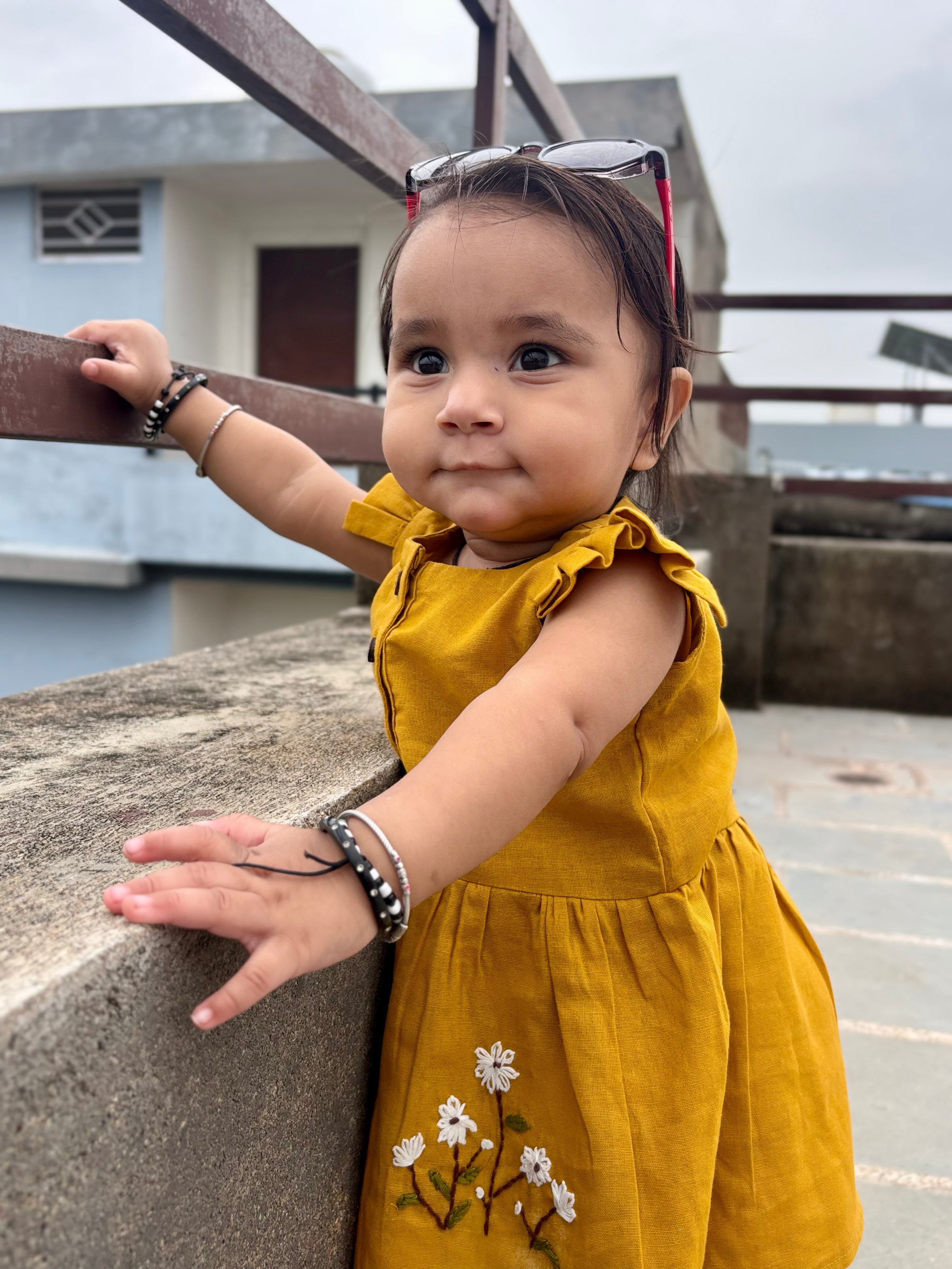 Little Sunshine Daisy 🌼💛