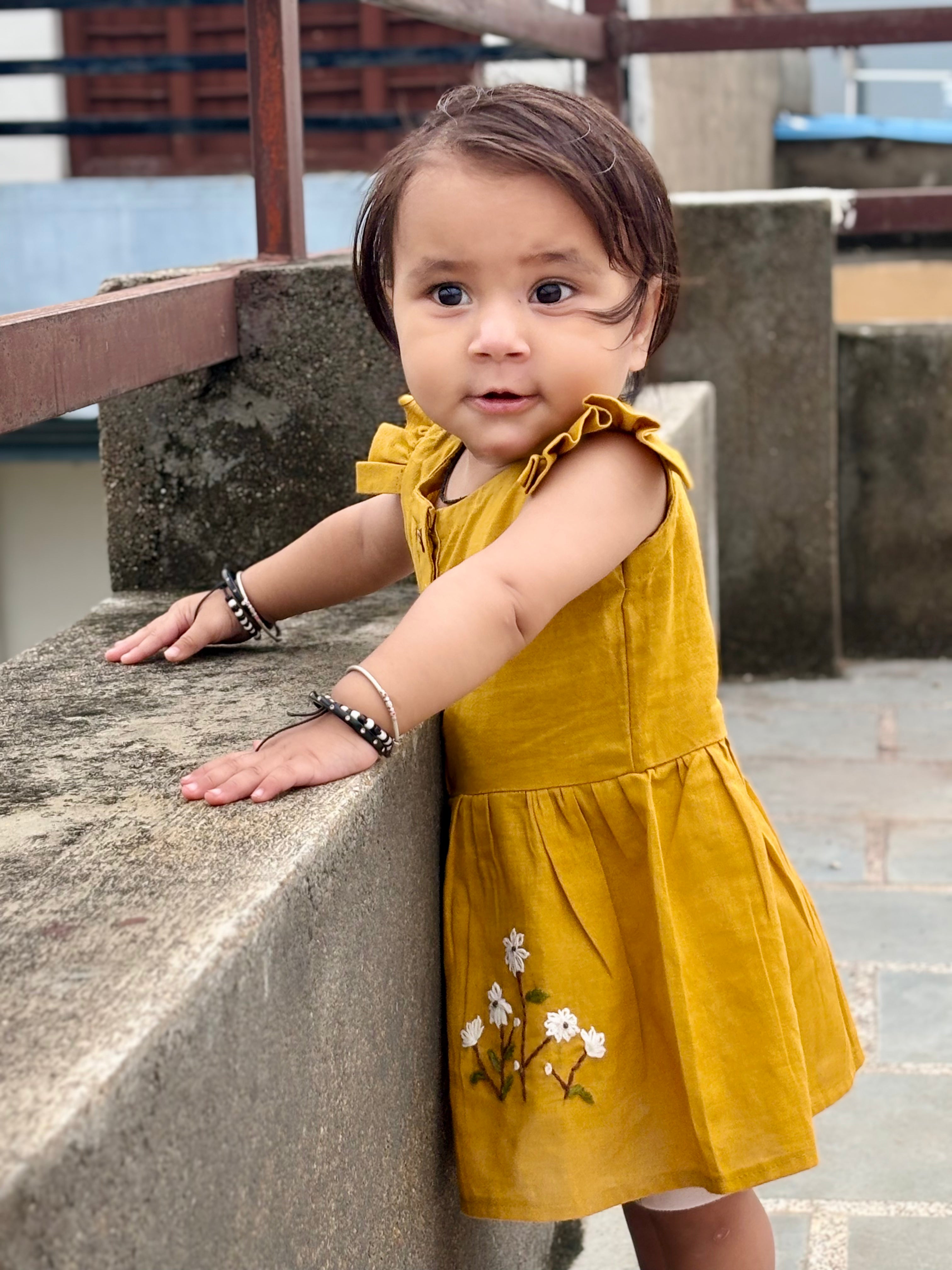Little Sunshine Daisy 🌼💛