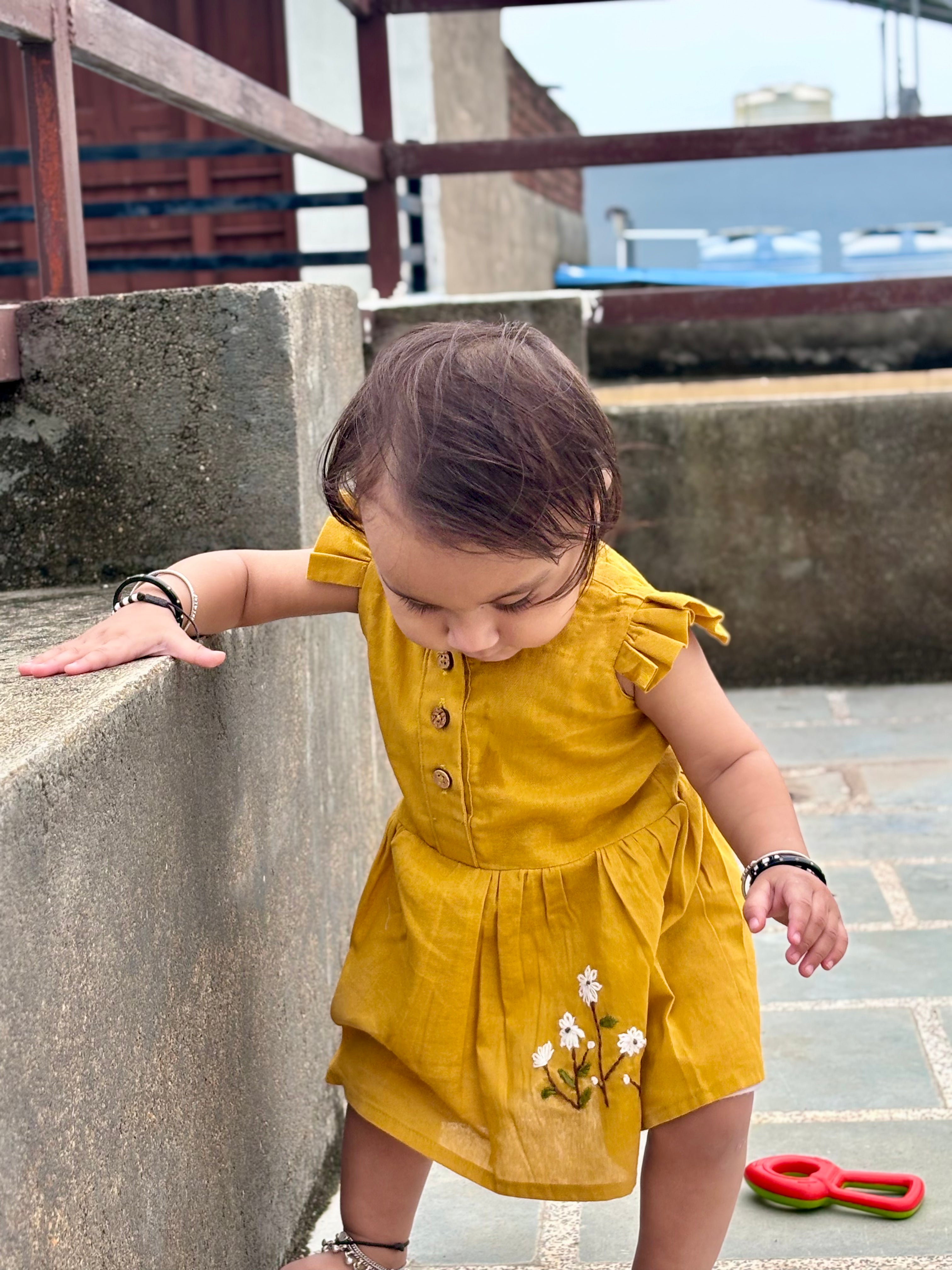 Little Sunshine Daisy 🌼💛